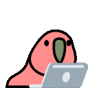 dancing parrot on a laptop
