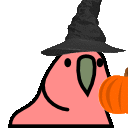 parrot in a witches hat dancing with a pumpkin